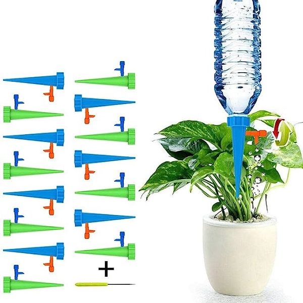 Picurǎtor plante