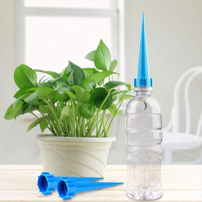 Picurǎtor plante