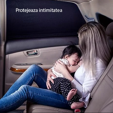 Plasǎ pentru geamul mașinii
